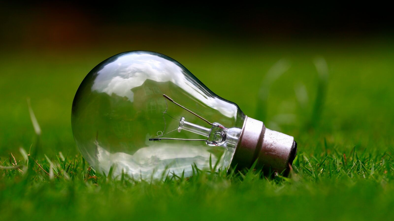A bulb resting on grass, representing a completed, energy-efficient home.