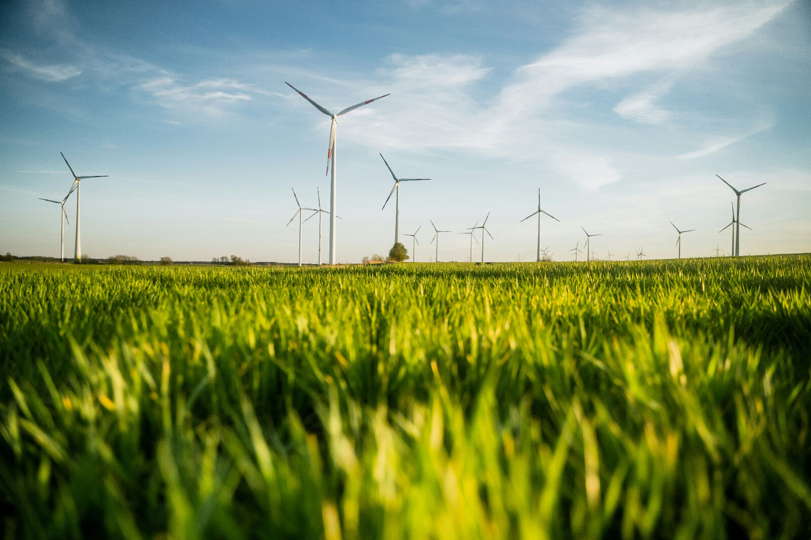 Wind turbines across an open green field — Irelands evolving energy landscape.